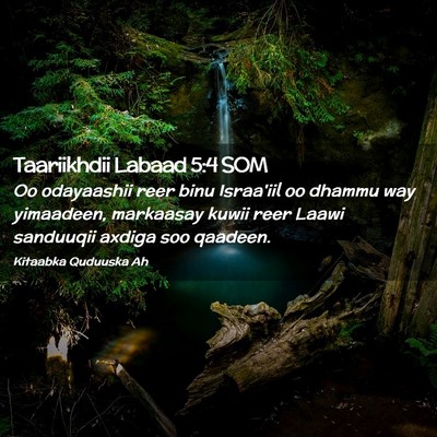 Picture 02 - Taariikhdii Labaad 5:4 SOM - Oo odayaashii reer binu Israa'iil oo dhammu way - Bible Verse Picture