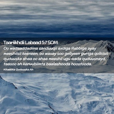 Picture 02 - Taariikhdii Labaad 5:7 SOM - Oo wadaaddadiina sanduuqii axdiga Rabbiga ayay - Bible Verse Picture