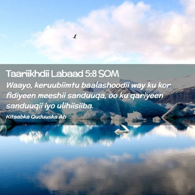 Picture 02 - Taariikhdii Labaad 5:8 SOM - Waayo, keruubiimtu baalashoodii way ku kor - Bible Verse Picture