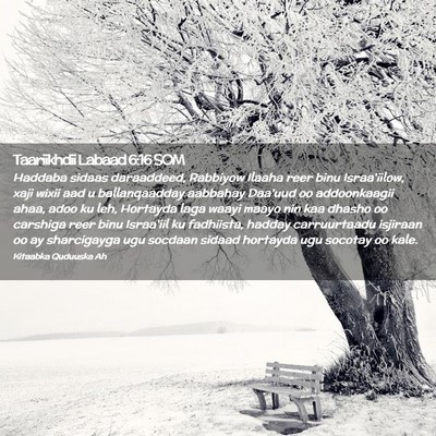 Picture 02 - Taariikhdii Labaad 6:16 SOM - Haddaba sidaas daraaddeed, Rabbiyow Ilaaha reer - Bible Verse Picture