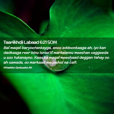 Picture 02 - Taariikhdii Labaad 6:21 SOM - Bal maqal baryootankayga, anoo addoonkaaga ah, - Bible Verse Picture