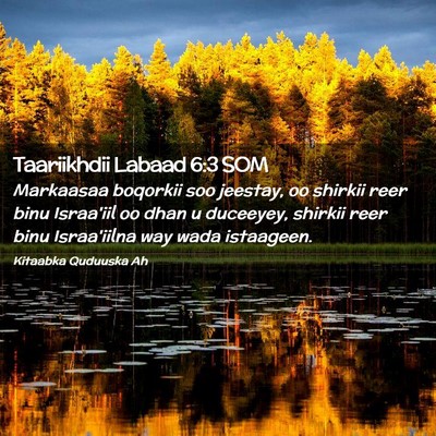 Picture 02 - Taariikhdii Labaad 6:3 SOM - Markaasaa boqorkii soo jeestay, oo shirkii reer - Bible Verse Picture