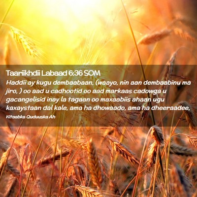 Picture 02 - Taariikhdii Labaad 6:36 SOM - Haddii ay kugu dembaabaan, (waayo, nin aan - Bible Verse Picture