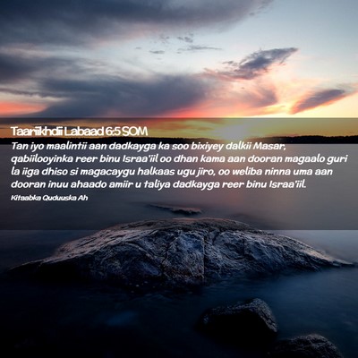 Picture 02 - Taariikhdii Labaad 6:5 SOM - Tan iyo maalintii aan dadkayga ka soo bixiyey - Bible Verse Picture