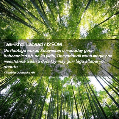 Picture 02 - Taariikhdii Labaad 7:12 SOM - Oo Rabbiga wuxuu Sulaymaan u muuqday goor - Bible Verse Picture