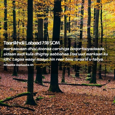 Picture 02 - Taariikhdii Labaad 7:18 SOM - markaasaan dhisi doonaa carshiga boqortooyadaada, - Bible Verse Picture