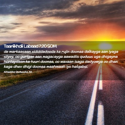 Picture 02 - Taariikhdii Labaad 7:20 SOM - de markaasaan xididdadooda ka rujin doonaa - Bible Verse Picture