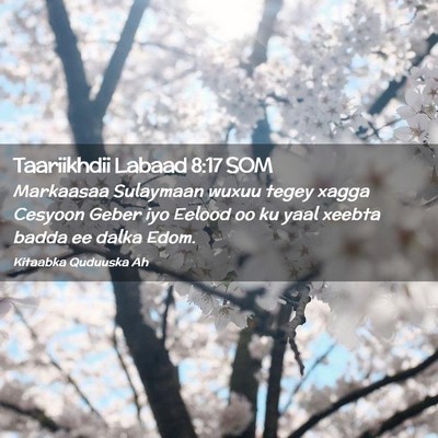 Picture 02 - Taariikhdii Labaad 8:17 SOM - Markaasaa Sulaymaan wuxuu tegey xagga Cesyoon - Bible Verse Picture