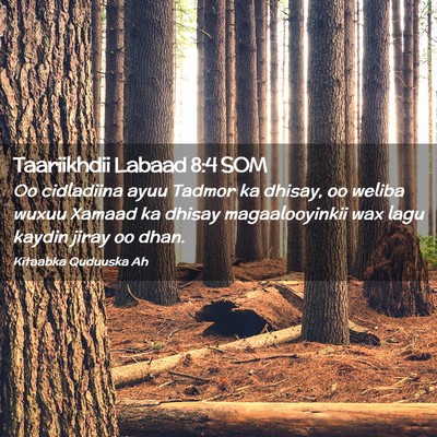 Picture 02 - Taariikhdii Labaad 8:4 SOM - Oo cidladiina ayuu Tadmor ka dhisay, oo weliba - Bible Verse Picture