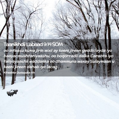 Picture 02 - Taariikhdii Labaad 9:14 SOM - oo intaasu kuma jirin wixii ay keeni jireen - Bible Verse Picture