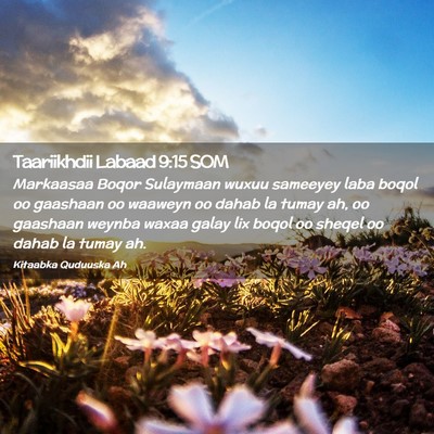 Picture 02 - Taariikhdii Labaad 9:15 SOM - Markaasaa Boqor Sulaymaan wuxuu sameeyey laba - Bible Verse Picture
