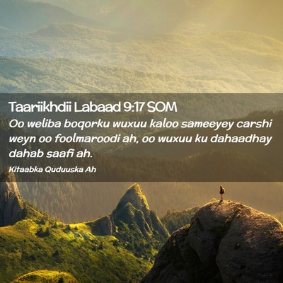 Picture 02 - Taariikhdii Labaad 9:17 SOM - Oo weliba boqorku wuxuu kaloo sameeyey carshi - Bible Verse Picture