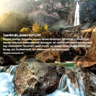 Picture 02 - Taariikhdii Labaad 9:21 SOM - Maxaa yeelay, boqorku wuxuu lahaa doonniyo - Bible Verse Picture