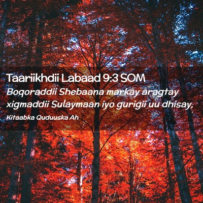 Picture 02 - Taariikhdii Labaad 9:3 SOM - Boqoraddii Shebaana markay aragtay xigmaddii - Bible Verse Picture