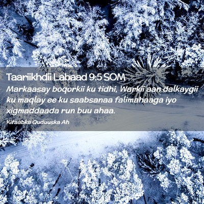 Picture 02 - Taariikhdii Labaad 9:5 SOM - Markaasay boqorkii ku tidhi, Warkii aan dalkaygii - Bible Verse Picture