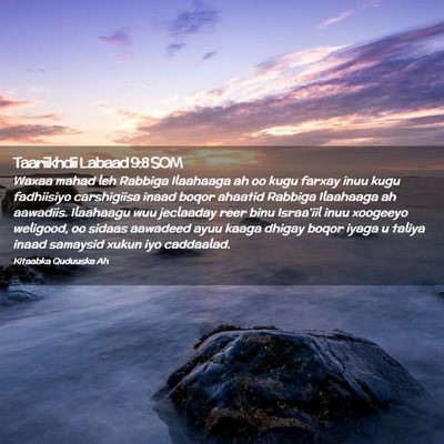 Picture 02 - Taariikhdii Labaad 9:8 SOM - Waxaa mahad leh Rabbiga Ilaahaaga ah oo kugu - Bible Verse Picture