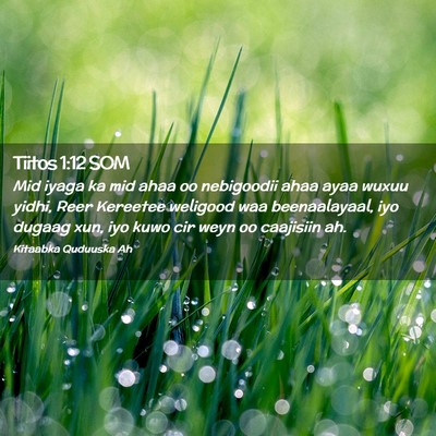 Picture 02 - Tiitos 1:12 SOM - Mid iyaga ka mid ahaa oo nebigoodii ahaa ayaa - Bible Verse Picture
