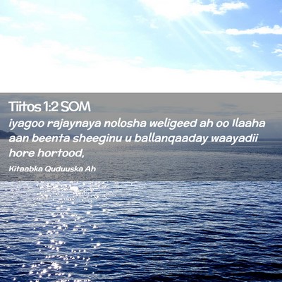 Picture 02 - Tiitos 1:2 SOM - iyagoo rajaynaya nolosha weligeed ah oo Ilaaha - Bible Verse Picture