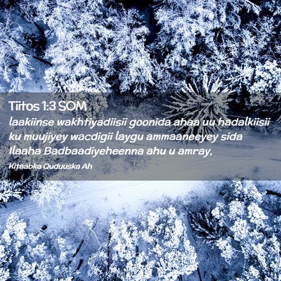 Picture 02 - Tiitos 1:3 SOM - laakiinse wakhtiyadiisii goonida ahaa uu - Bible Verse Picture
