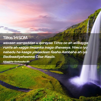 Picture 02 - Tiitos 1:4 SOM - waxaan warqaddan u qorayaa Tiitos oo ah wiilkayga - Bible Verse Picture