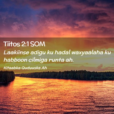 Picture 02 - Tiitos 2:1 SOM - Laakiinse adigu ku hadal waxyaalaha ku habboon - Bible Verse Picture