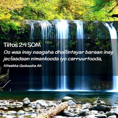 Picture 02 - Tiitos 2:4 SOM - Oo waa inay naagaha dhallintayar baraan inay - Bible Verse Picture