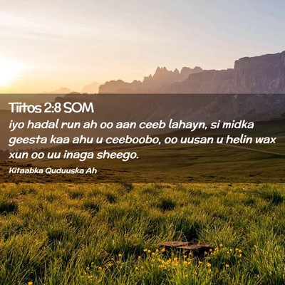 Picture 02 - Tiitos 2:8 SOM - iyo hadal run ah oo aan ceeb lahayn, si midka - Bible Verse Picture