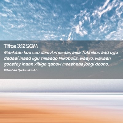 Picture 02 - Tiitos 3:12 SOM - Markaan kuu soo diro Artemaas ama Tukhikos aad - Bible Verse Picture