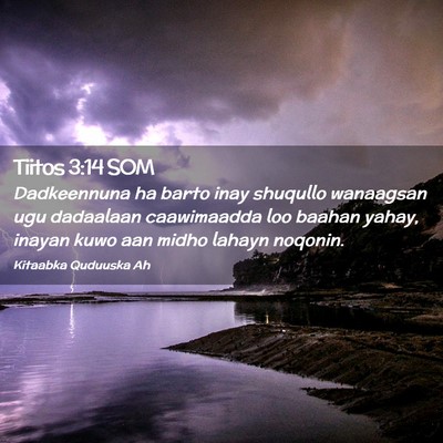 Picture 02 - Tiitos 3:14 SOM - Dadkeennuna ha barto inay shuqullo wanaagsan ugu - Bible Verse Picture