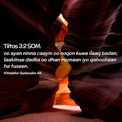 Picture 02 - Tiitos 3:2 SOM - oo ayan ninna caayin oo noqon kuwa ilaaq badan, - Bible Verse Picture