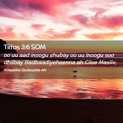 Picture 02 - Tiitos 3:6 SOM - oo uu aad inoogu shubay oo uu inoogu soo dhiibay - Bible Verse Picture