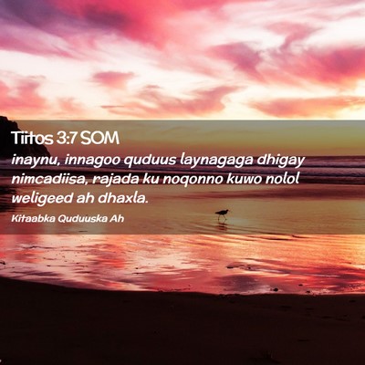 Picture 02 - Tiitos 3:7 SOM - inaynu, innagoo quduus laynagaga dhigay - Bible Verse Picture