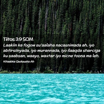 Picture 02 - Tiitos 3:9 SOM - Laakiin ka fogow su'aalaha nacasnimada ah, iyo - Bible Verse Picture