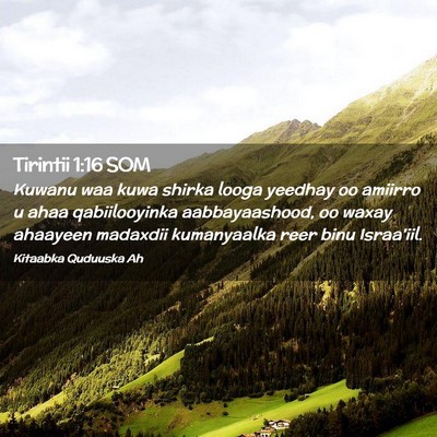 Picture 02 - Tirintii 1:16 SOM - Kuwanu waa kuwa shirka looga yeedhay oo amiirro u - Bible Verse Picture