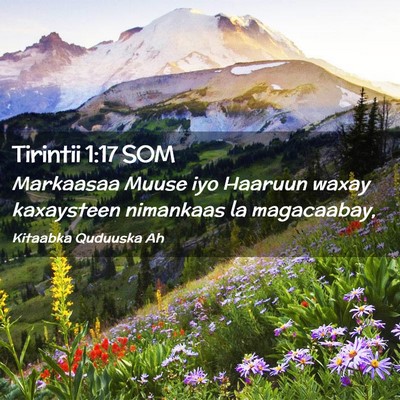Picture 02 - Tirintii 1:17 SOM - Markaasaa Muuse iyo Haaruun waxay kaxaysteen - Bible Verse Picture