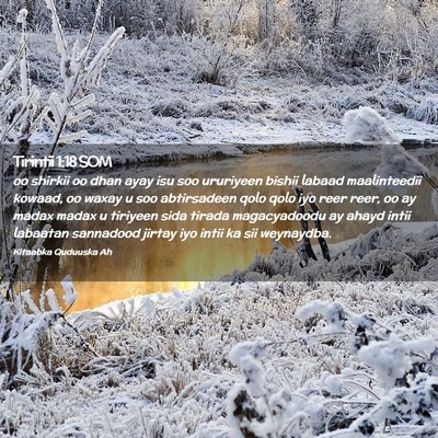 Picture 02 - Tirintii 1:18 SOM - oo shirkii oo dhan ayay isu soo ururiyeen bishii - Bible Verse Picture