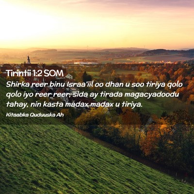 Picture 02 - Tirintii 1:2 SOM - Shirka reer binu Israa'iil oo dhan u soo tiriya - Bible Verse Picture