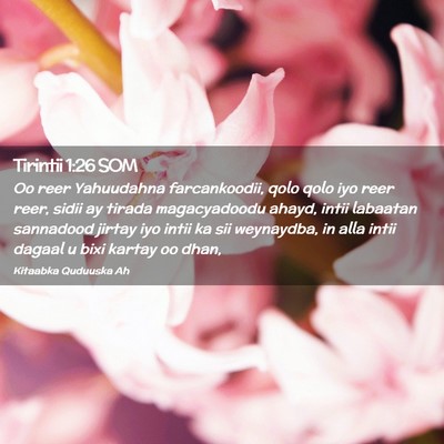 Picture 02 - Tirintii 1:26 SOM - Oo reer Yahuudahna farcankoodii, qolo qolo iyo - Bible Verse Picture