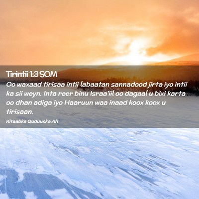 Picture 02 - Tirintii 1:3 SOM - Oo waxaad tirisaa intii labaatan sannadood jirta - Bible Verse Picture