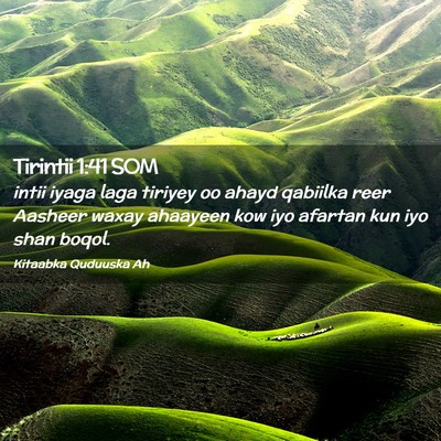 Picture 02 - Tirintii 1:41 SOM - intii iyaga laga tiriyey oo ahayd qabiilka reer - Bible Verse Picture