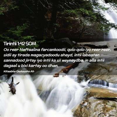 Picture 02 - Tirintii 1:42 SOM - Oo reer Naftaalina farcankoodii, qolo qolo iyo - Bible Verse Picture