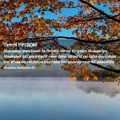 Picture 02 - Tirintii 1:44 SOM - Kuwaasu waa kuwii la tiriyey, oo ay tiriyeen - Bible Verse Picture