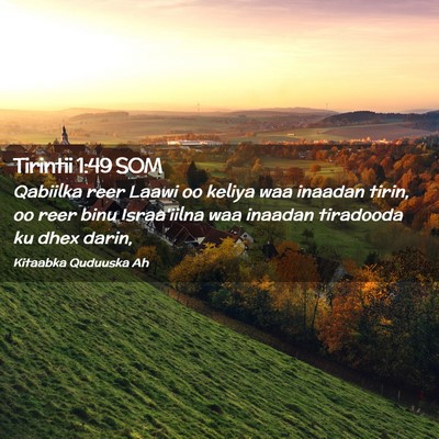 Picture 02 - Tirintii 1:49 SOM - Qabiilka reer Laawi oo keliya waa inaadan tirin, - Bible Verse Picture