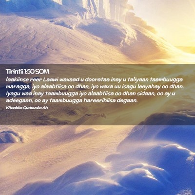 Picture 02 - Tirintii 1:50 SOM - laakiinse reer Laawi waxaad u doorataa inay u - Bible Verse Picture