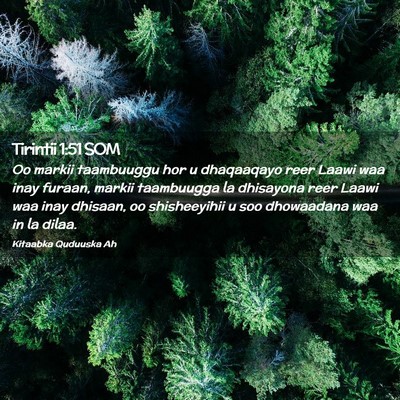Picture 02 - Tirintii 1:51 SOM - Oo markii taambuuggu hor u dhaqaaqayo reer Laawi - Bible Verse Picture