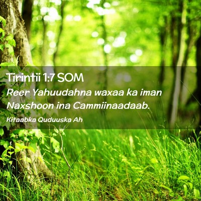 Picture 02 - Tirintii 1:7 SOM - Reer Yahuudahna waxaa ka iman Naxshoon ina - Bible Verse Picture