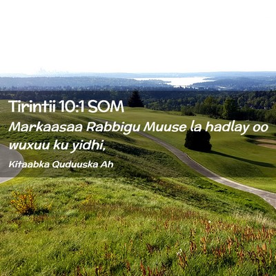 Picture 02 - Tirintii 10:1 SOM - Markaasaa Rabbigu Muuse la hadlay oo wuxuu ku - Bible Verse Picture