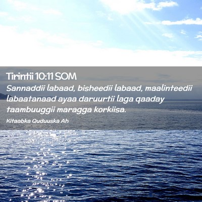 Picture 02 - Tirintii 10:11 SOM - Sannaddii labaad, bisheedii labaad, maalinteedii - Bible Verse Picture