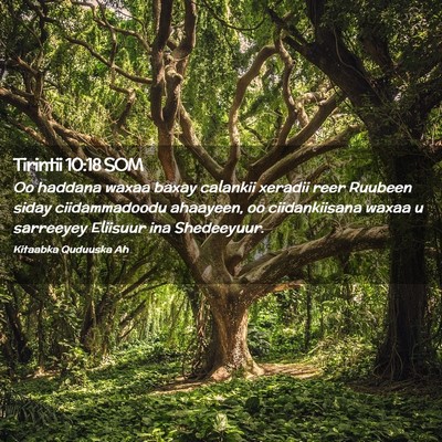 Picture 02 - Tirintii 10:18 SOM - Oo haddana waxaa baxay calankii xeradii reer - Bible Verse Picture