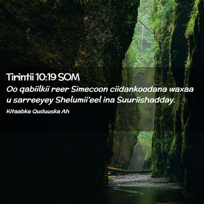 Picture 02 - Tirintii 10:19 SOM - Oo qabiilkii reer Simecoon ciidankoodana waxaa u - Bible Verse Picture